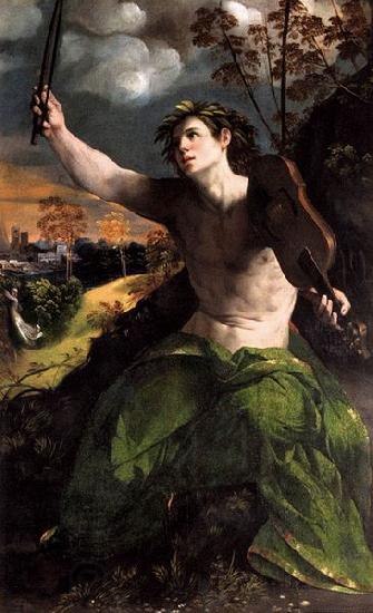 Dosso Dossi Apollo and Daphne oil painting picture